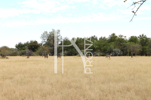 5409 Ha Farm For Sale 
