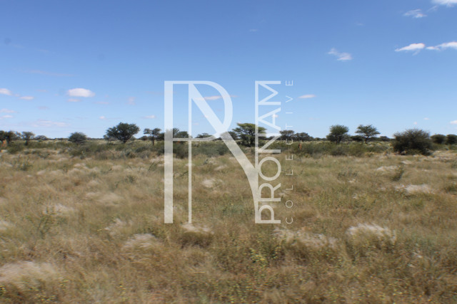 163 Ha Plot For Sale - Ref.No. 2066