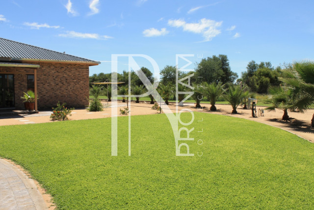 let's go to the braai area