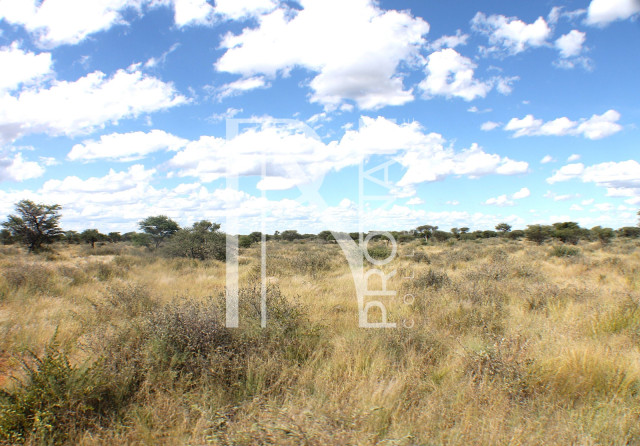1268 Ha Farm For Sale - PRIME LOCATION - Ref.No. 2063