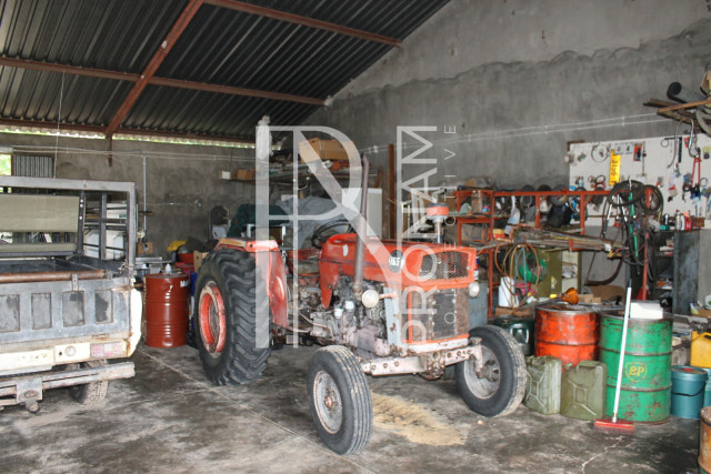 5409 Ha Farm For Sale 