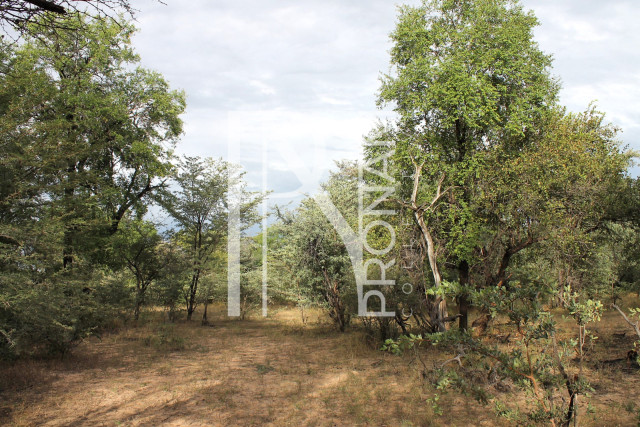 5409 Ha Farm For Sale 