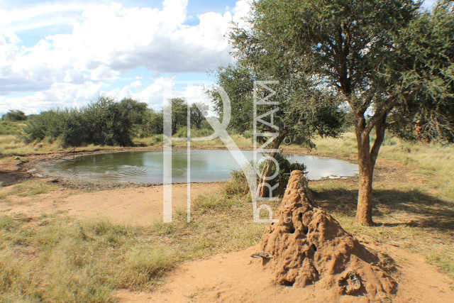 1268 Ha Farm For Sale - PRIME LOCATION - Ref.No. 2063
