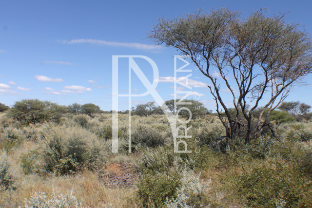 1268 Ha Farm For Sale - PRIME LOCATION - Ref.No. 2063