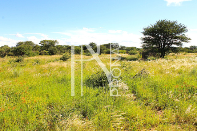 30.08 Ha Plot For Sale