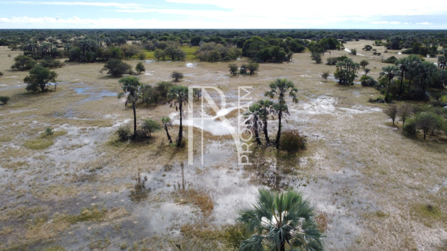5409 Ha Farm For Sale Ref.No. 2062
