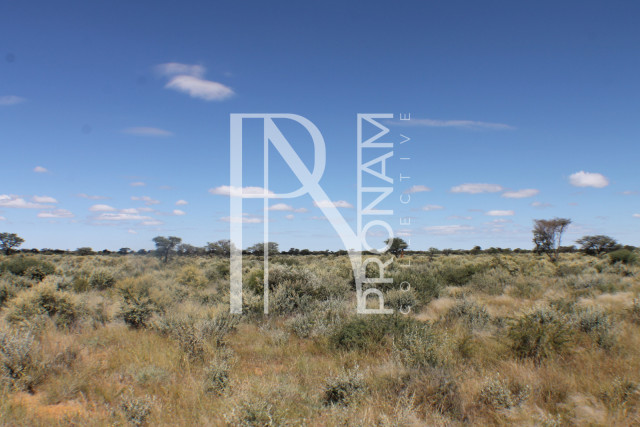 164 Ha Plot For Sale - Ref.No. 2067