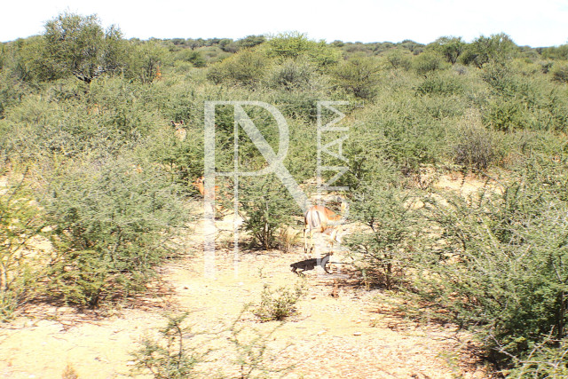 1268 Ha Farm For Sale - PRIME LOCATION - Ref.No. 2063