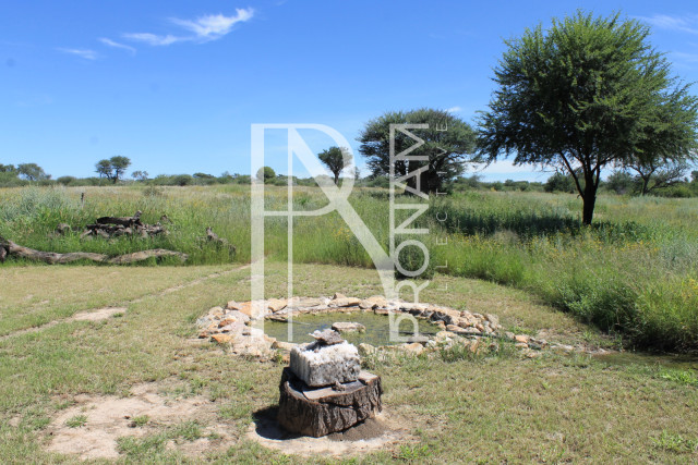 waterpoint for your animals