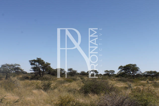 129 Ha Plot For Sale - Ref.No. 2076
