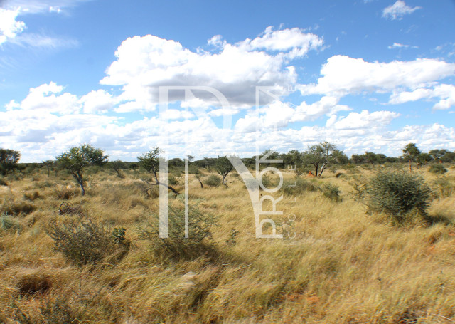 1268 Ha Farm For Sale - PRIME LOCATION - Ref.No. 2063