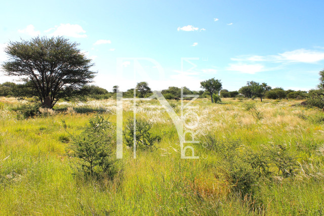 30.08 Ha Plot For Sale