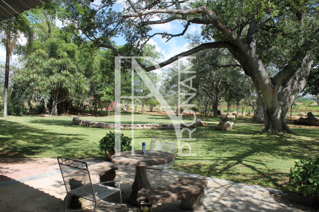 200 Ha Farm For Sale