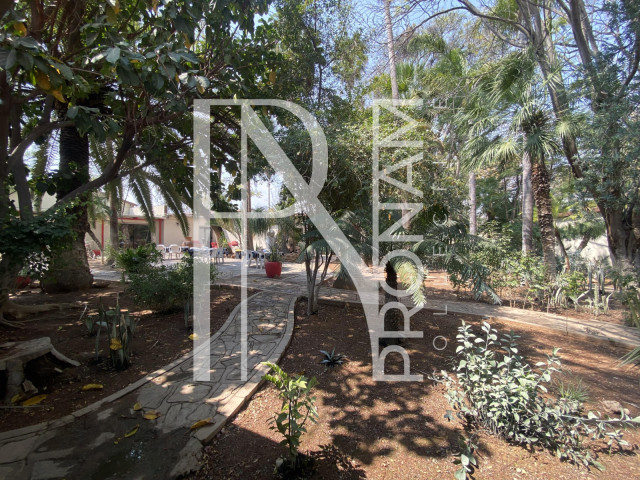 You are welcome to walk around in the garden
