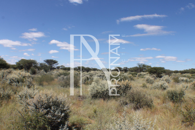 155 Ha Plot For Sale - Ref.No. 2065