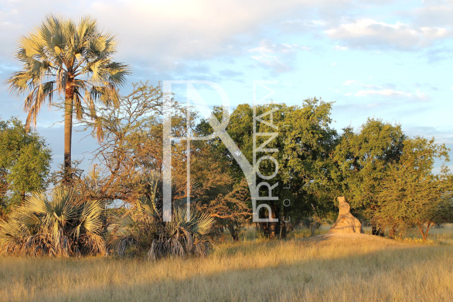 5409 Ha Farm For Sale 