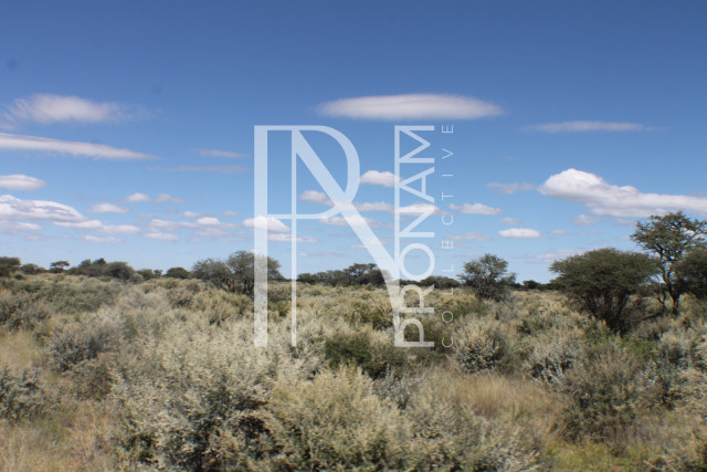 163 Ha Plot For Sale - Ref.No. 2066