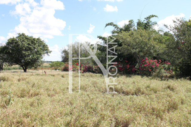 200 Ha Farm For Sale