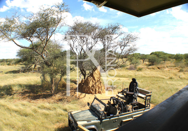 1268 Ha Farm For Sale - PRIME LOCATION - Ref.No. 2063