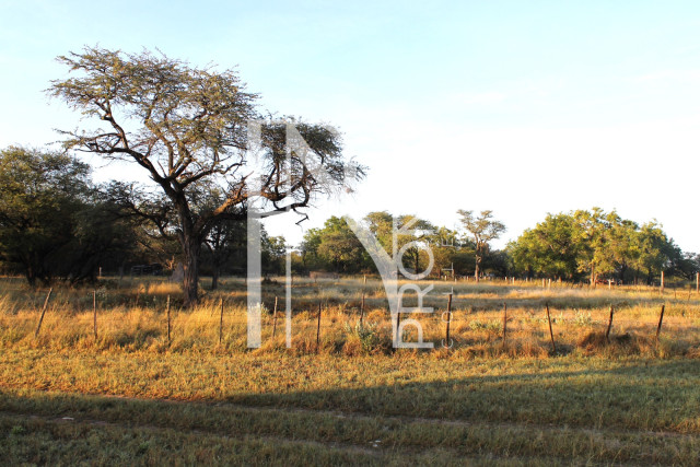 5409 Ha Farm For Sale 