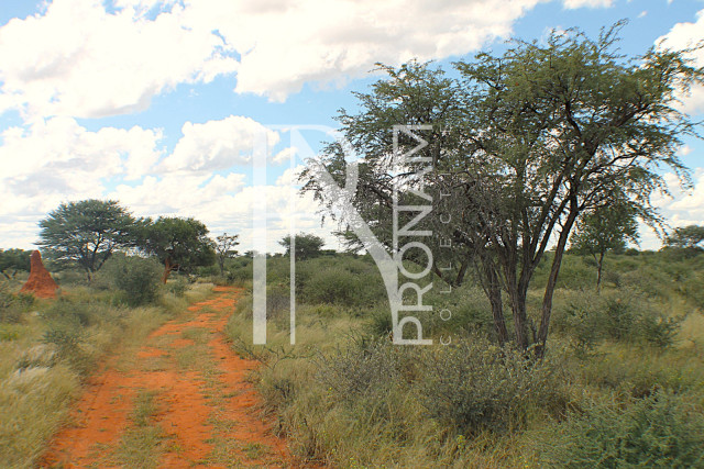 1268 Ha Farm For Sale - PRIME LOCATION - Ref.No. 2063