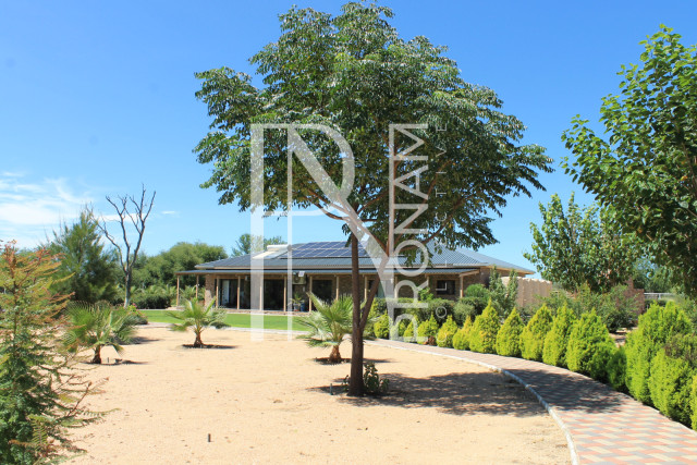 your fruit trees are already planted
