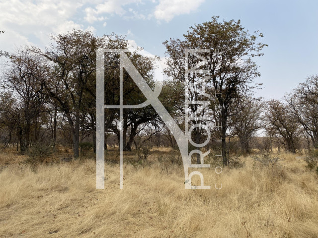 One of the first guestfarms in Namibia