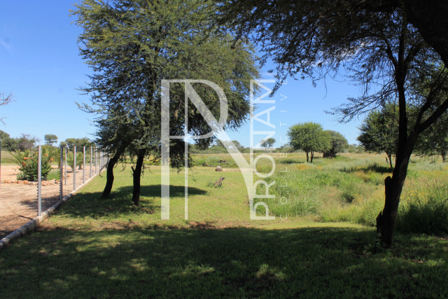 the warthog graceing area.. also cutted with the lawn mower
