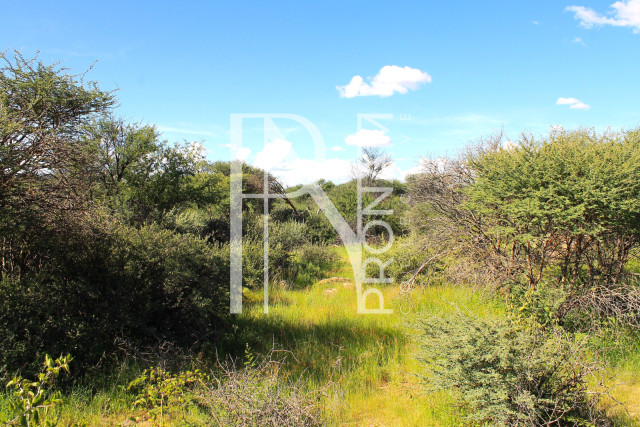 30.08 Ha Plot For Sale