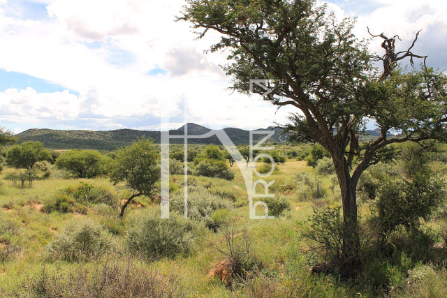 5.97 Ha Plot For Sale