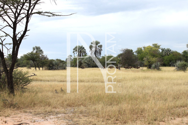 5409 Ha Farm For Sale 