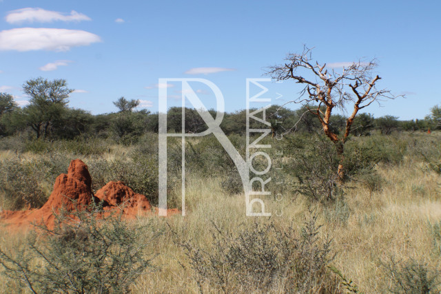 164 Ha Plot For Sale - Ref.No. 2067