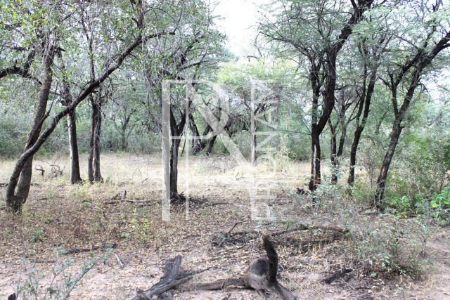 5409 Ha Farm For Sale 