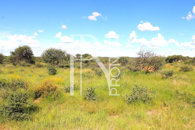 30.08 Ha Plot For Sale