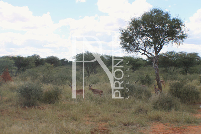 1268 Ha Farm For Sale - PRIME LOCATION - Ref.No. 2063