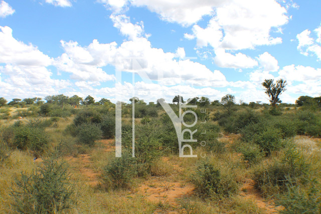 1268 Ha Farm For Sale - PRIME LOCATION - Ref.No. 2063