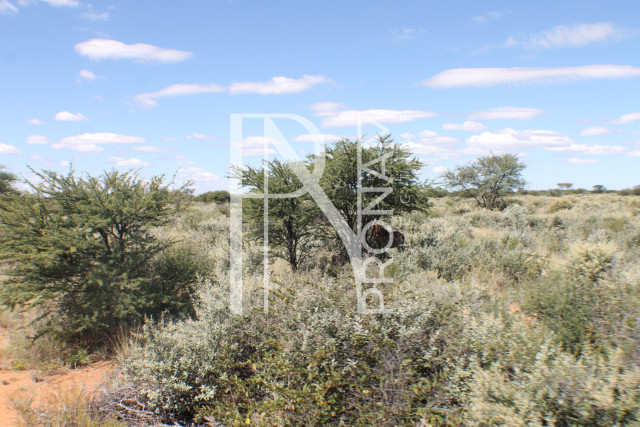 163 Ha Plot For Sale - Ref.No. 2066