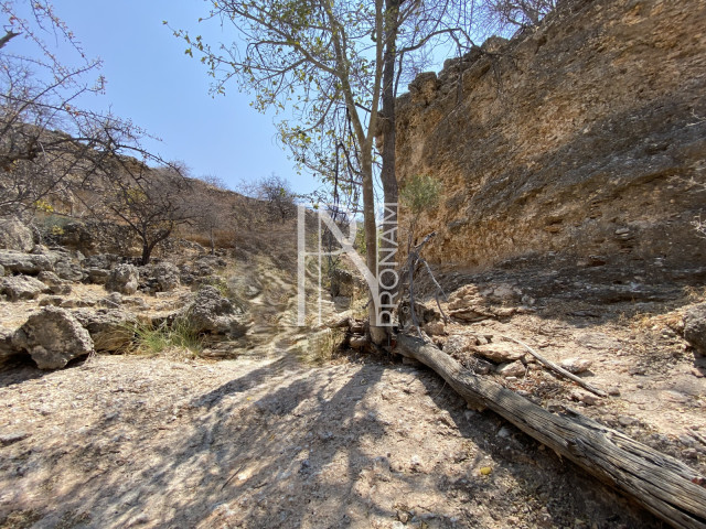 10000 Ha - Luxurious Lodge - Ref.No. 2006
