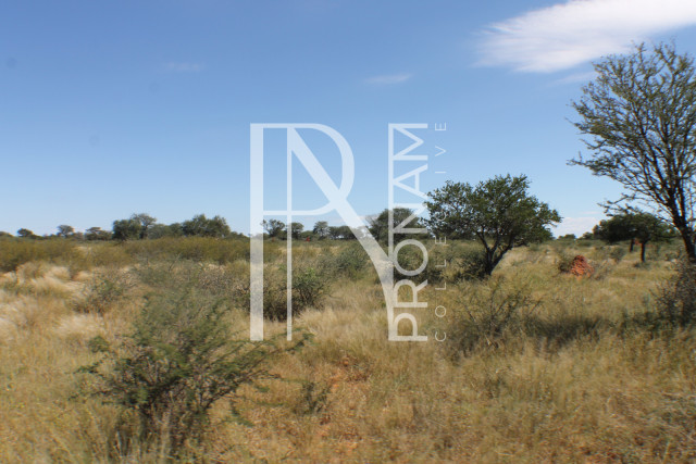 232 Ha Plot For Sale - Ref.No. 2068