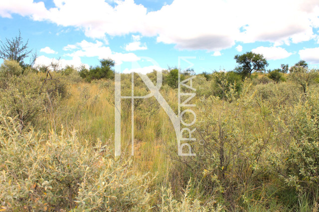 3.96 Ha Plot For Sale