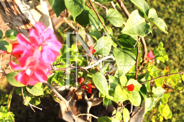 5409 Ha Farm For Sale 
