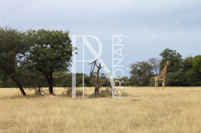 5409 Ha Farm For Sale 