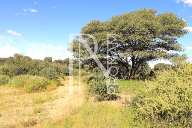 30.08 Ha Plot For Sale
