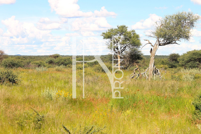 30.08 Ha Plot For Sale
