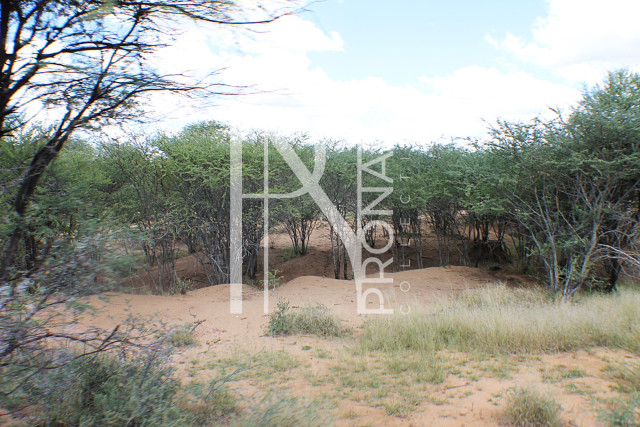 1268 Ha Farm For Sale - PRIME LOCATION - Ref.No. 2063