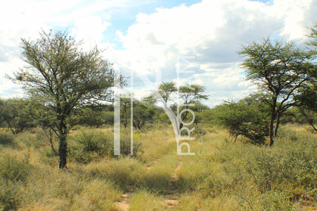 1268 Ha Farm For Sale - PRIME LOCATION - Ref.No. 2063