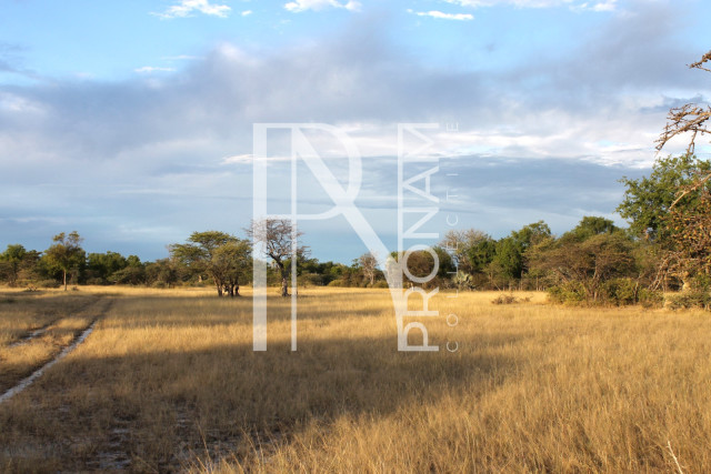 5409 Ha Farm For Sale 