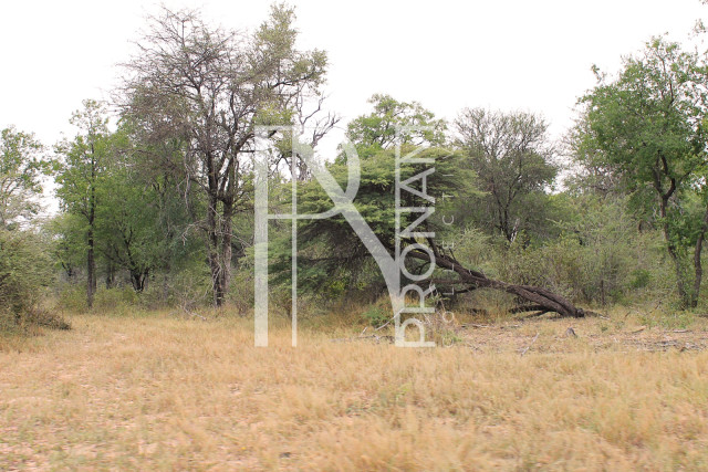 5409 Ha Farm For Sale 