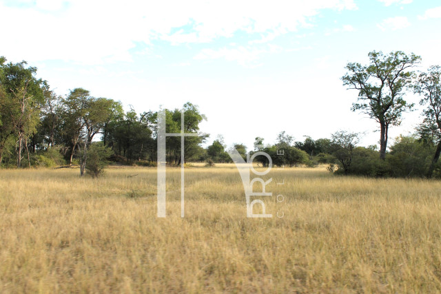 5409 Ha Farm For Sale 