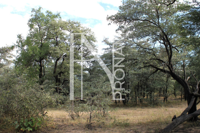 5409 Ha Farm For Sale 